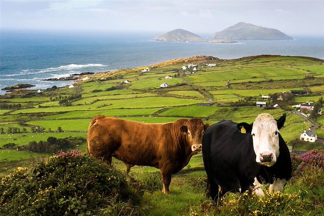 Randonnée Irlande Connemara