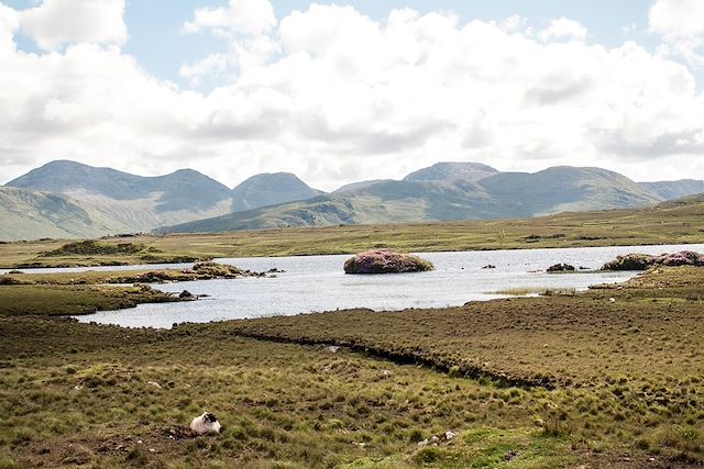 Randonnée Irlande Connemara