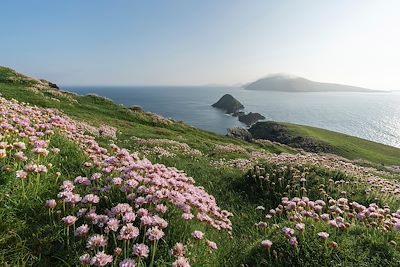 Kerry - Irlande