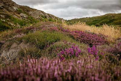 Péninsule de Beara - Kerry - Irlande
