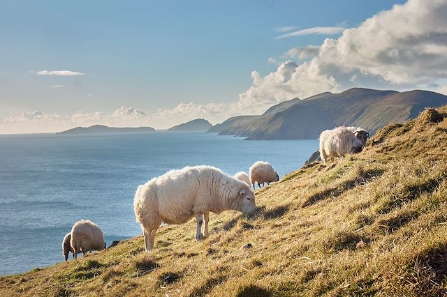 Randonnée Irlande Connemara