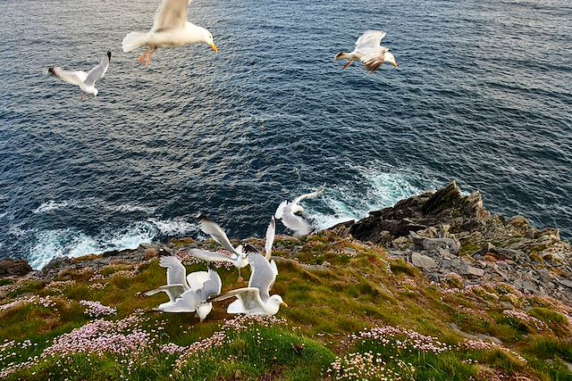 Randonnée Irlande Kerry