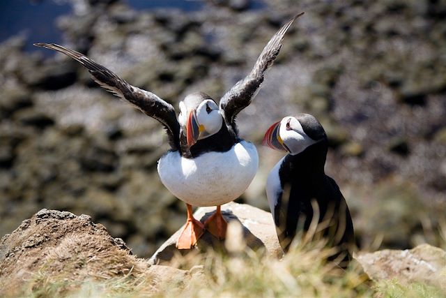 Autotour Islande