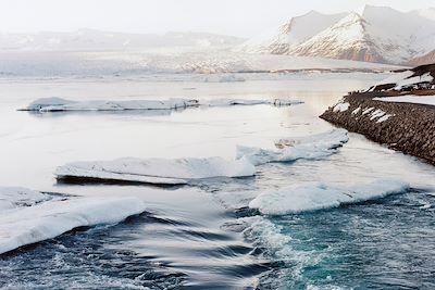 Paysage côtier d'Islande en hiver