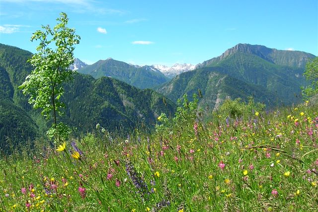 VTT / Gravel Italie Alpes italiennes