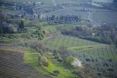 Vers Radda in Chianti - Toscane - Italie