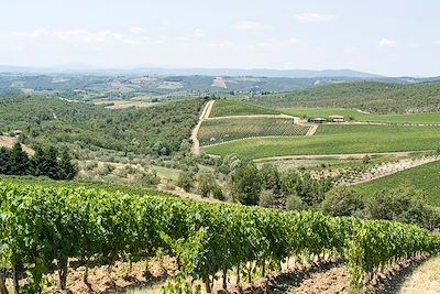 Gaiole in Chianti - Toscane - Italie