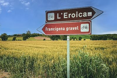 Les routes blanches de l'Eroica - Toscane - Italie