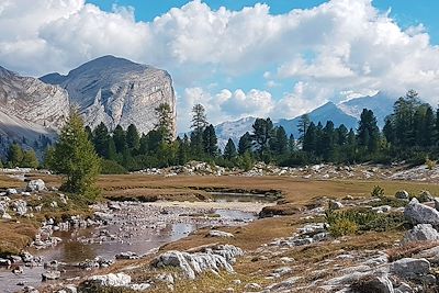Parc naturel - Fanes-Sennes-Braies - Dolomites - Italie
