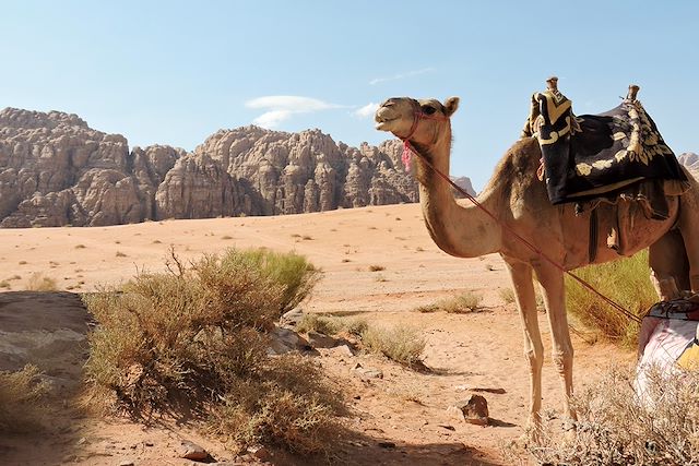 Multi-activités Jordanie