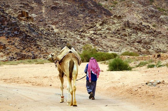 Autotour Jordanie
