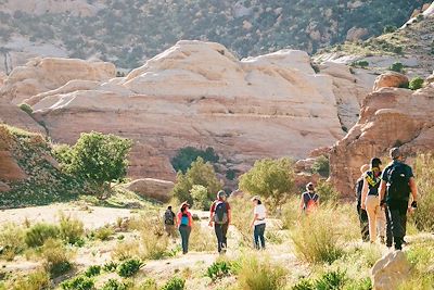 Réserve de Dana - Jordanie