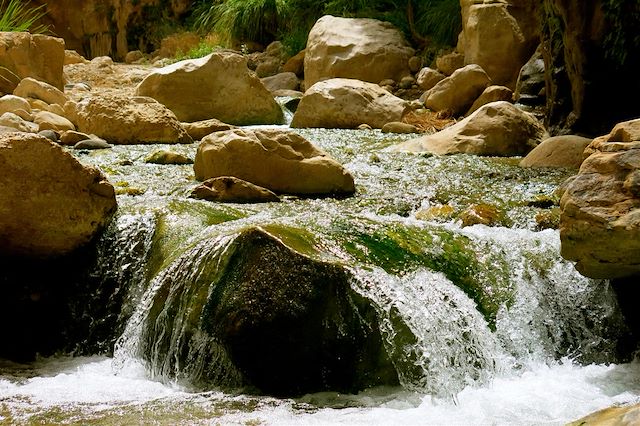 Randonnée Jordanie Mer Morte