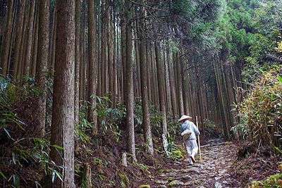 Randonnée au cœur du Japon ancestral