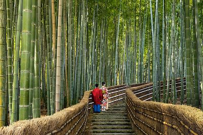 De Kyoto à Tokyo par la route des montagnes