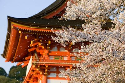 Shikoku, sentiers du pèlerinage des 88 temples