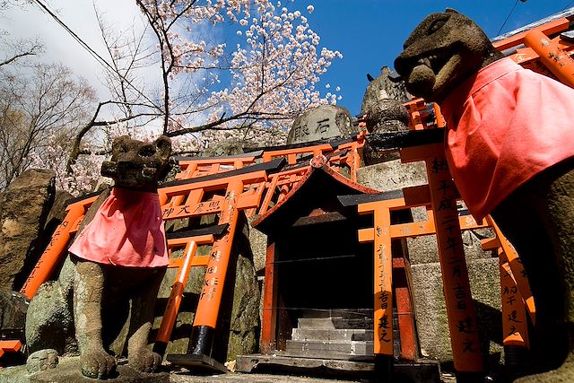 Découverte Japon