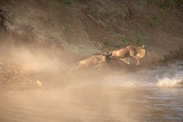 Safari Kenya Masaï Mara