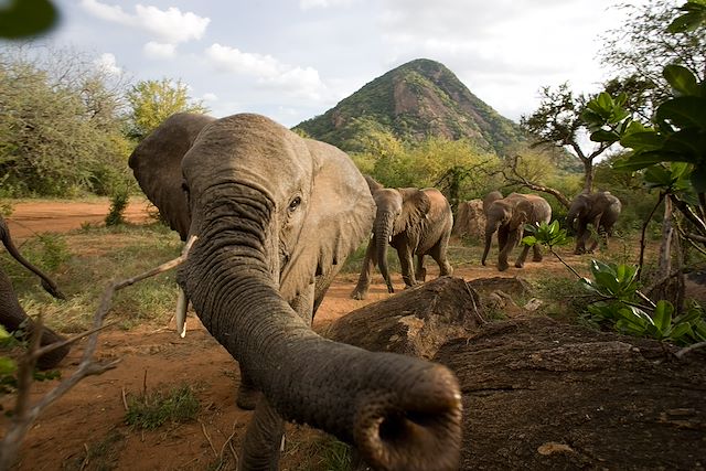 Safari Kenya Masaï Mara