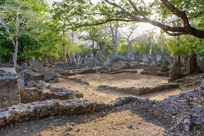 Ruines de Gedi - Kenya