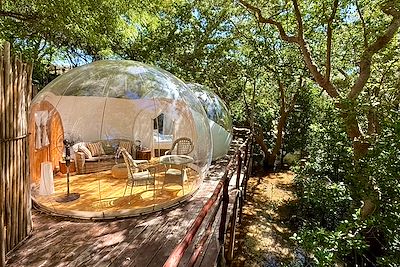 Baobab bubble lodge - Votre hébergement au Kenya 