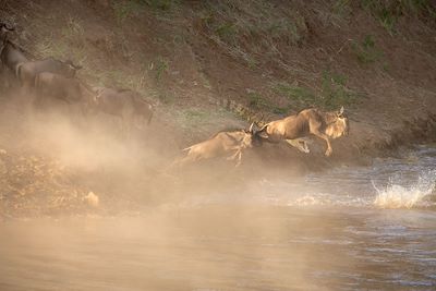Réserve du Massai Mara - Vallée du Rift - Kenya