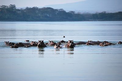 Voyage Masai Mara