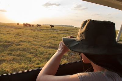Safari au Kenya