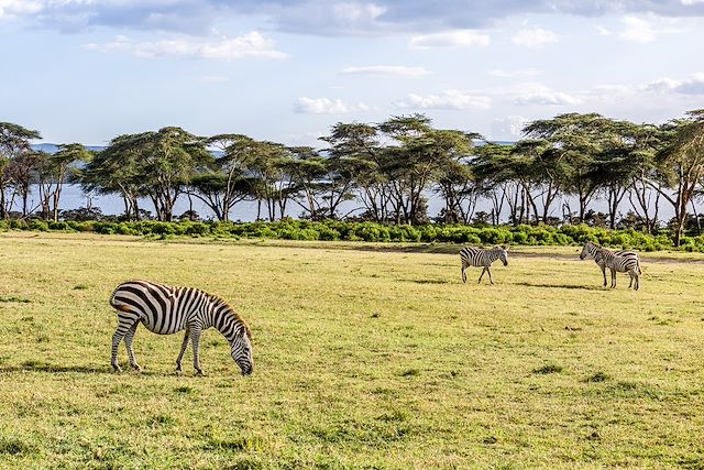 Safari Kenya Masaï Mara
