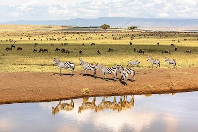 Réserve nationale du Masai Mara - Kenya