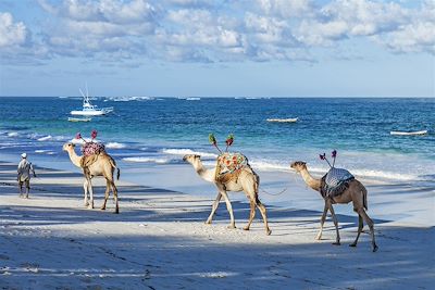 AfroChic Diani Beach - Ukunda - Kenya