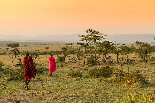 Safari Kenya