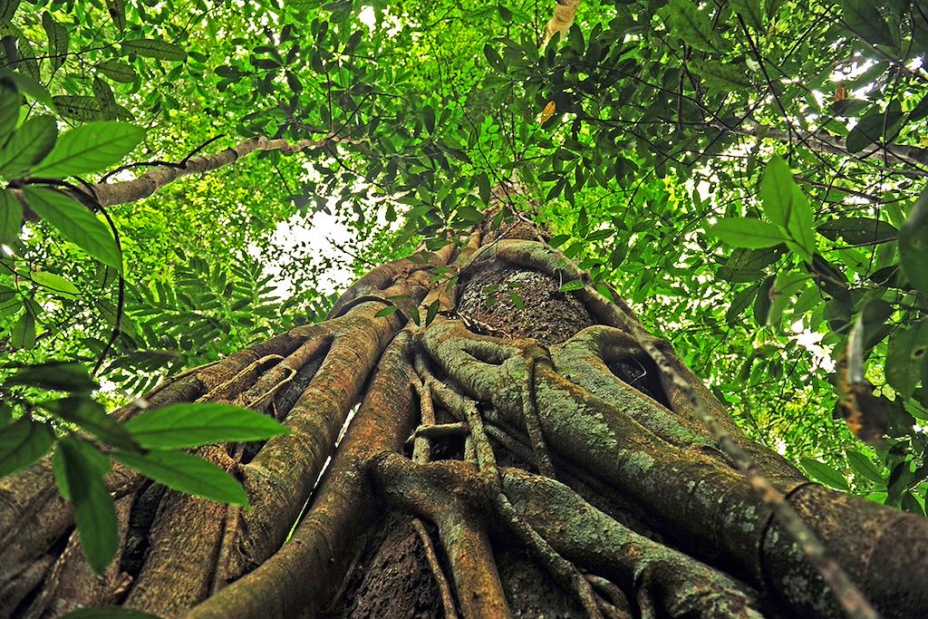 Voyage Cambodge