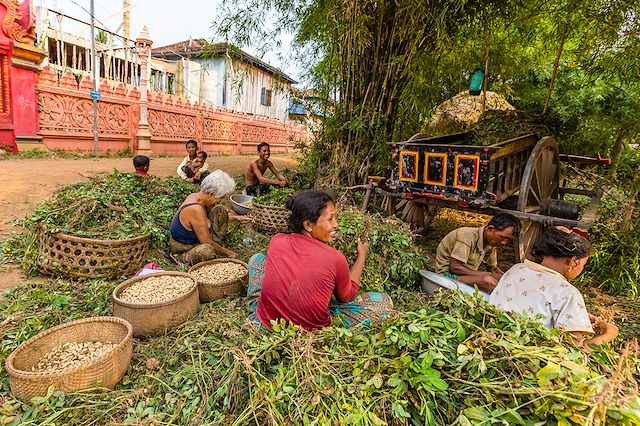 Découverte Cambodge