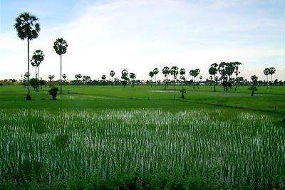 Angkor - Cambodge