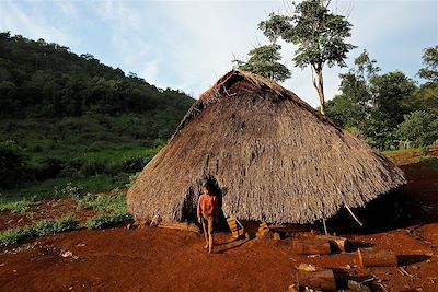 Du Mondolkiri à Angkor : l’âme du Cambodge