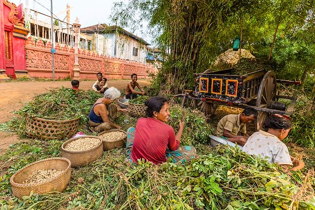Découverte Cambodge