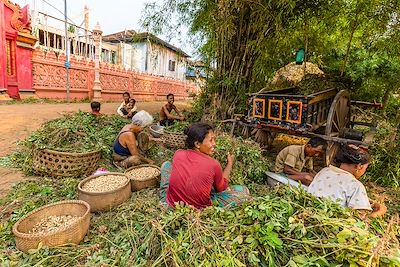 Le village d'Angkor Ban, sur les rives du Mékong, province de Battambang - Cambodge