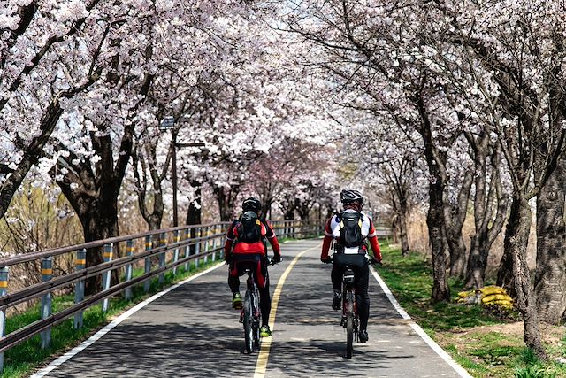 Vélo Corée du sud