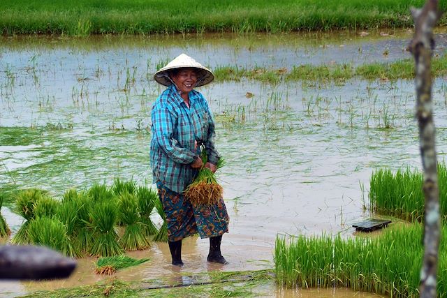 Découverte Laos