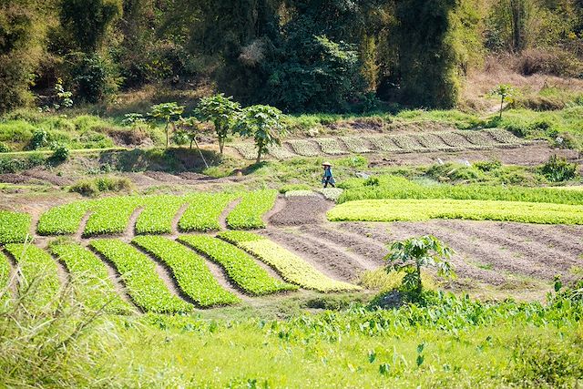 Découverte Laos