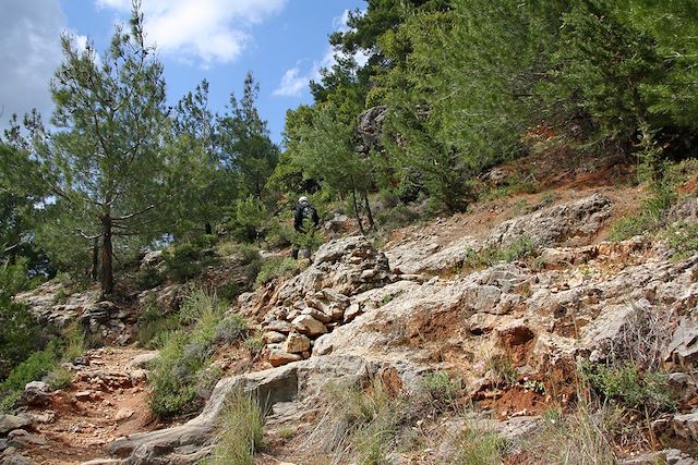 Trek Liban