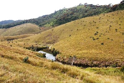 Parc national de Horton Plains - Sri Lanka