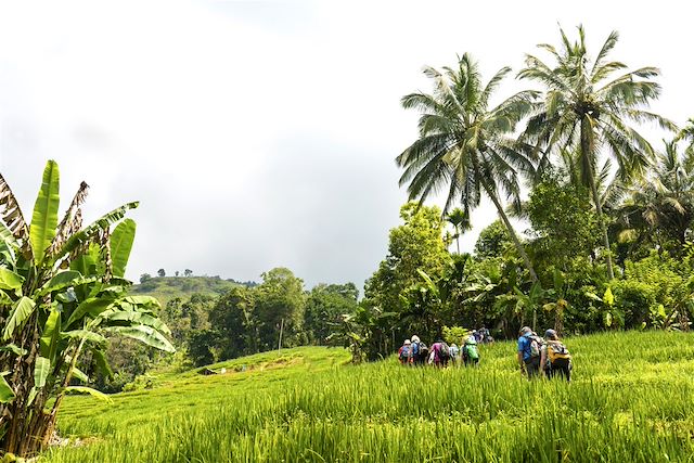 Multi-activités Sri Lanka