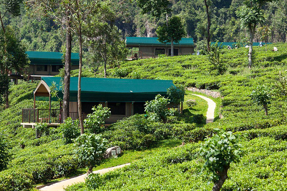 Découverte Sri Lanka