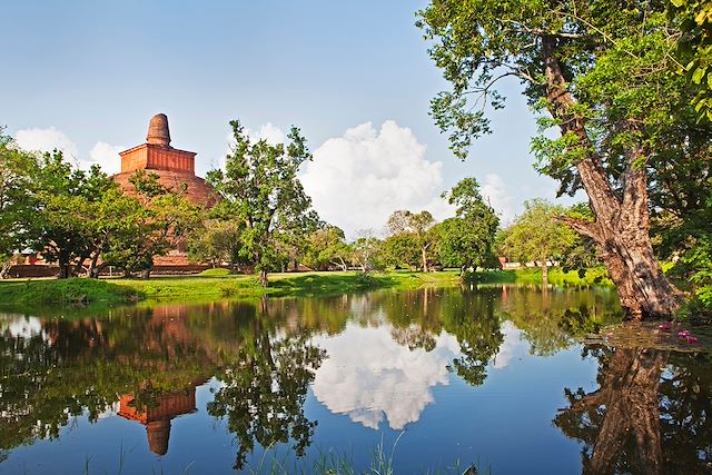 Découverte Sri Lanka