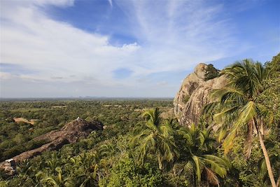 Lodges, nature et aventures au Sri Lanka