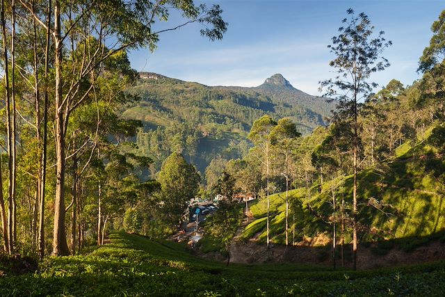 Randonnée Sri Lanka
