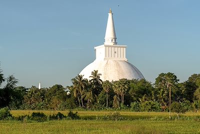 Stupa de Ruwanwelisaya - Anuradhapura - Sri Lanka