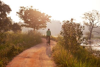 Découverte du Sri Lanka à vélo